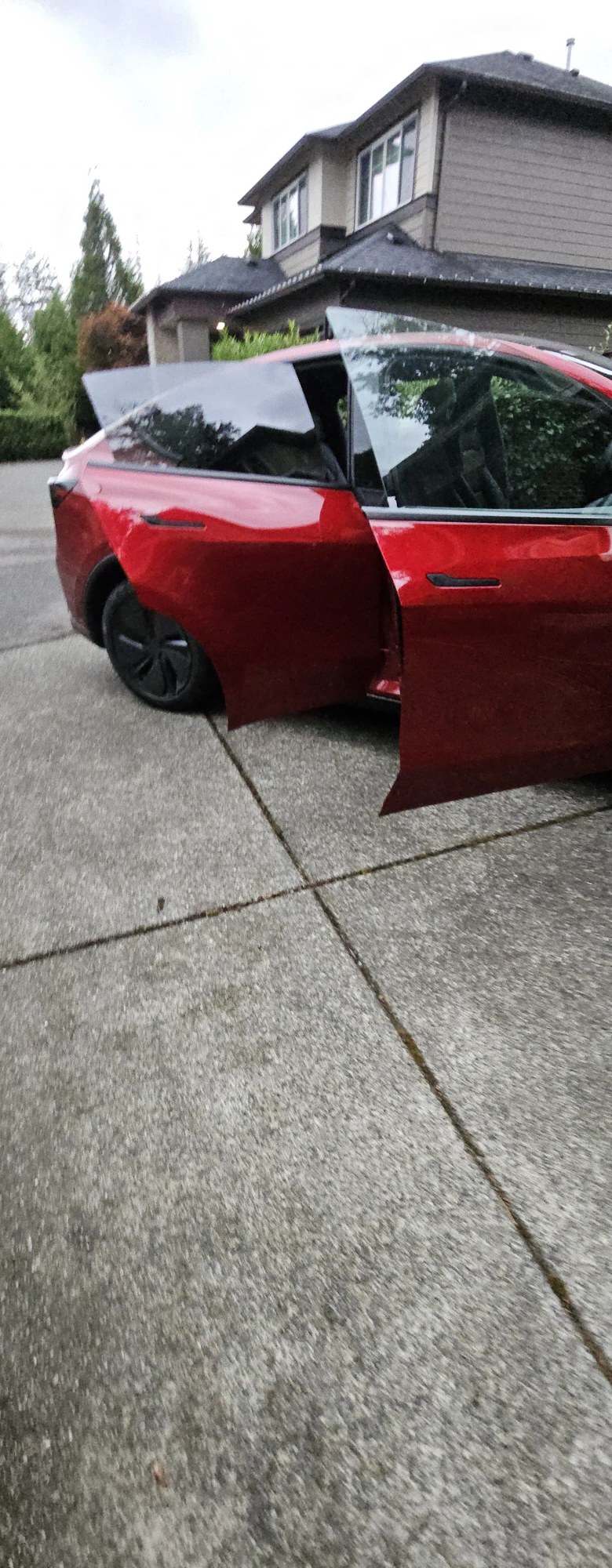 Side profile shine on a freshly detailed red Tesla Model Y